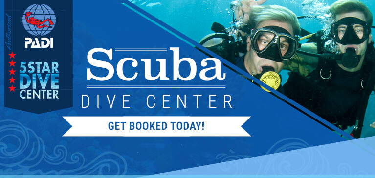 Aruba Diving Tours
